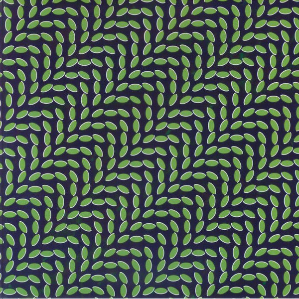 Animal Collective - Merriweather Post Pavilion [Domino