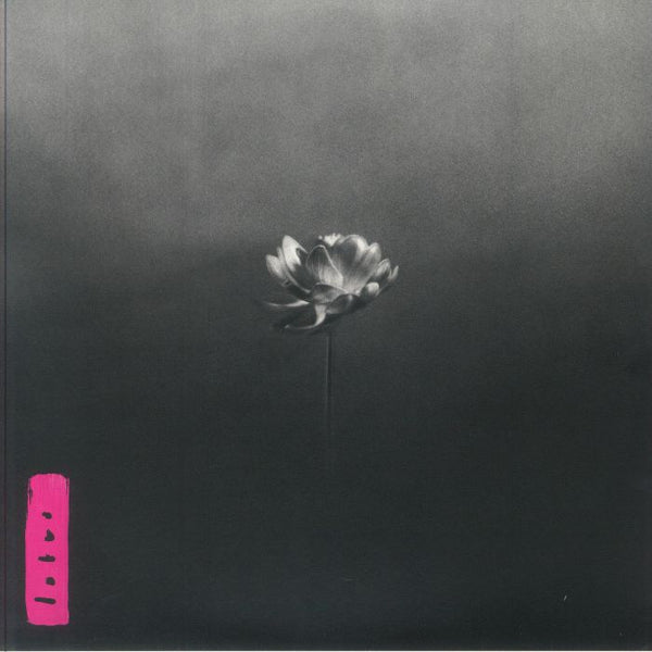 限定スリップマット付Lotus Little Simzリトル・シムズ レコード Little Simz - Lotus | Rough Trade - (2LP - Midnight Bloom | Rough