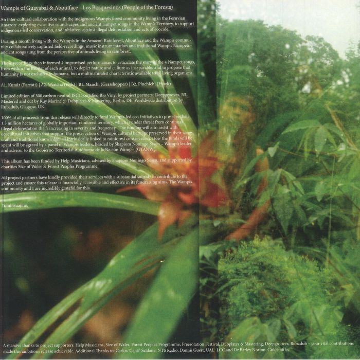 Los Bosquesinos (People Of The Forests)