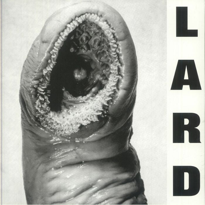 The Power Of Lard