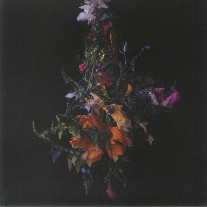 欧LP Big Brave Nature Morte THRILL580 Thrill Jockey /00260 Big Brave - Nature Morte [Thrill Jockey] LP - lavender vinyl