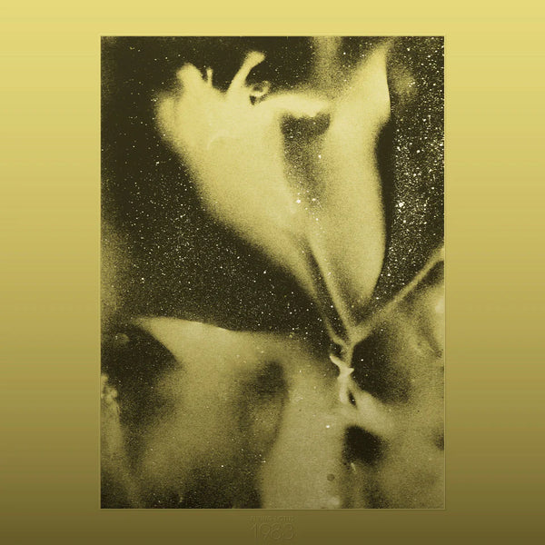 Flying Lotus - 1983 [Brainfeeder] LP BF164 - plugd