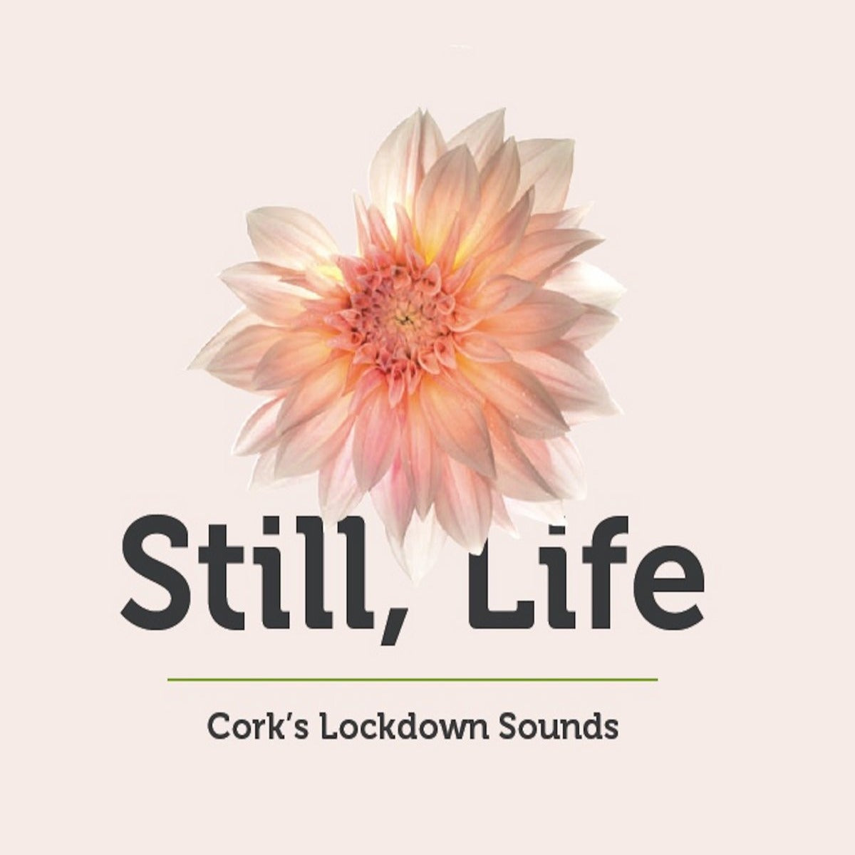 Still, Life [Cork&#39;s Lockdown Sounds]